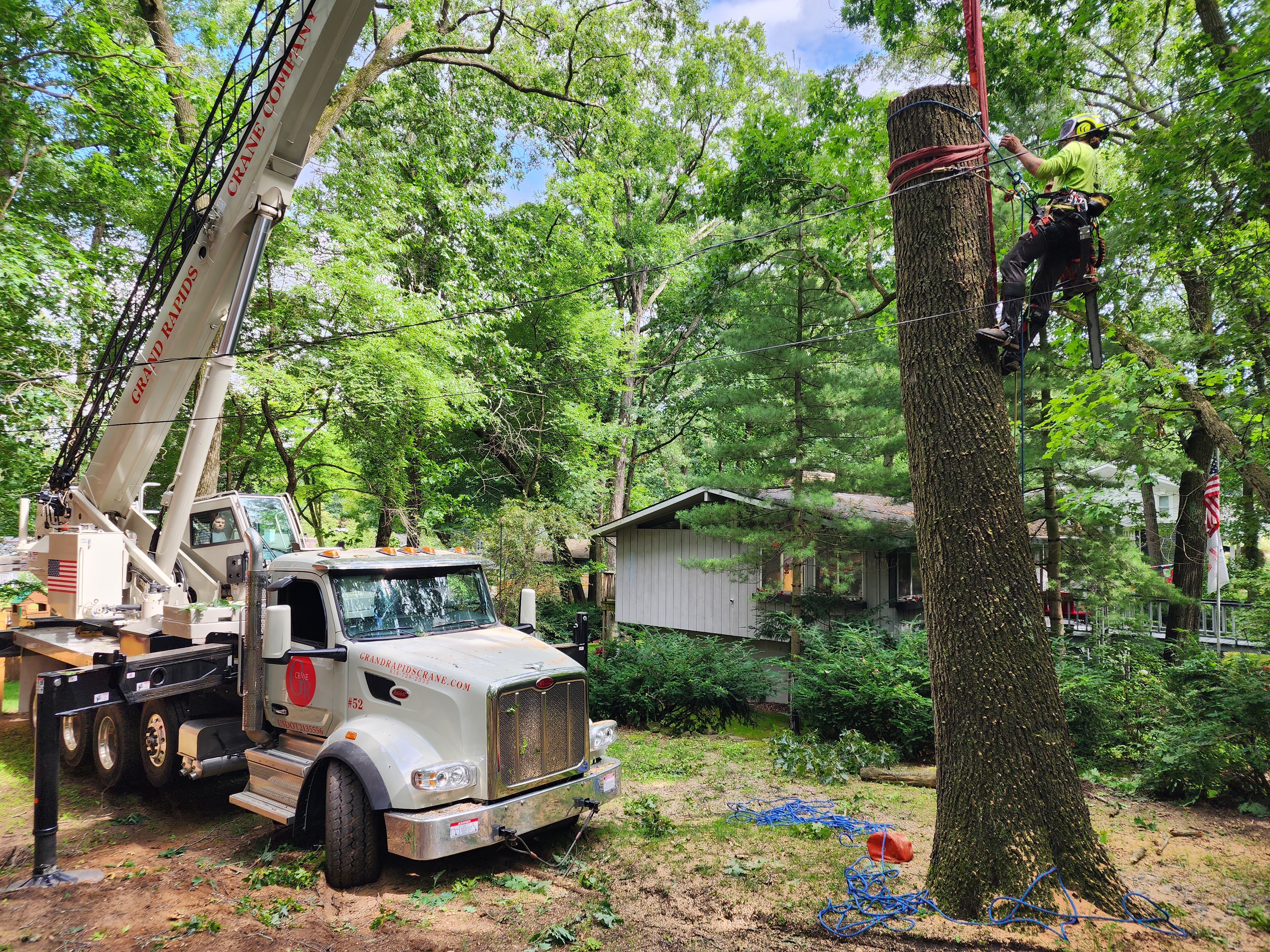 Climber high on tree trunk with crane truck below