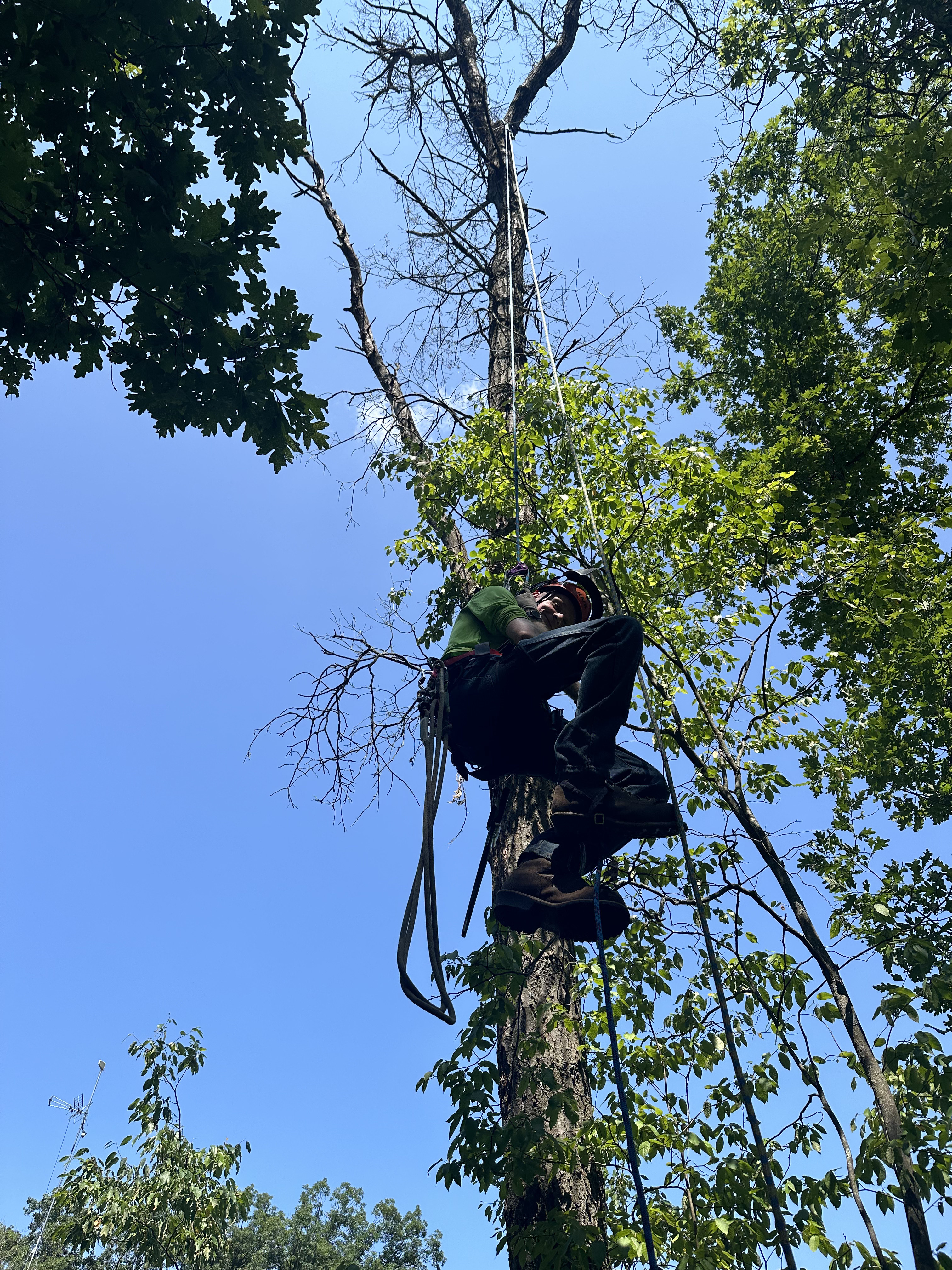 Climber rigging against clear blue sky