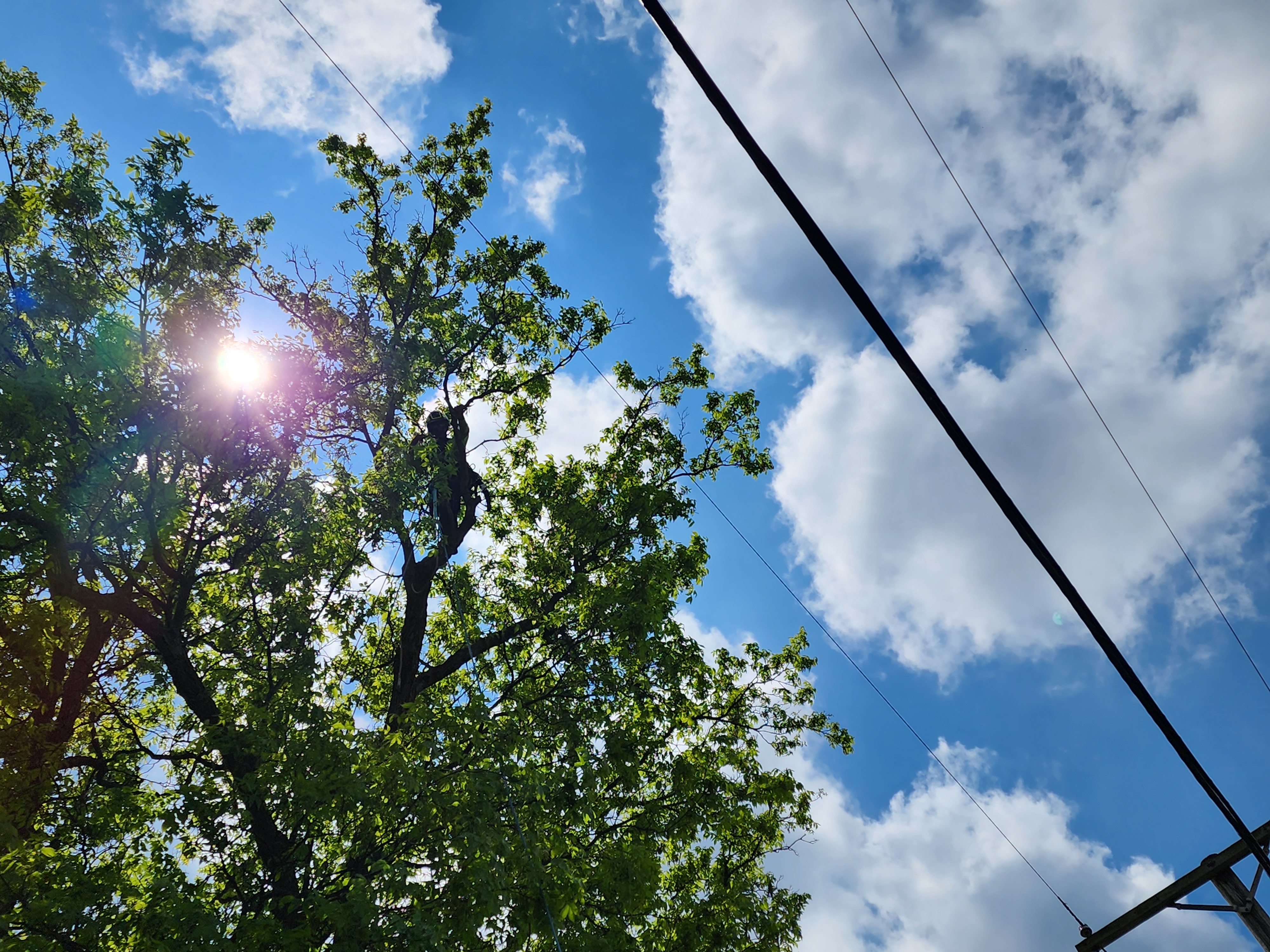 Silhouette of climber against sky