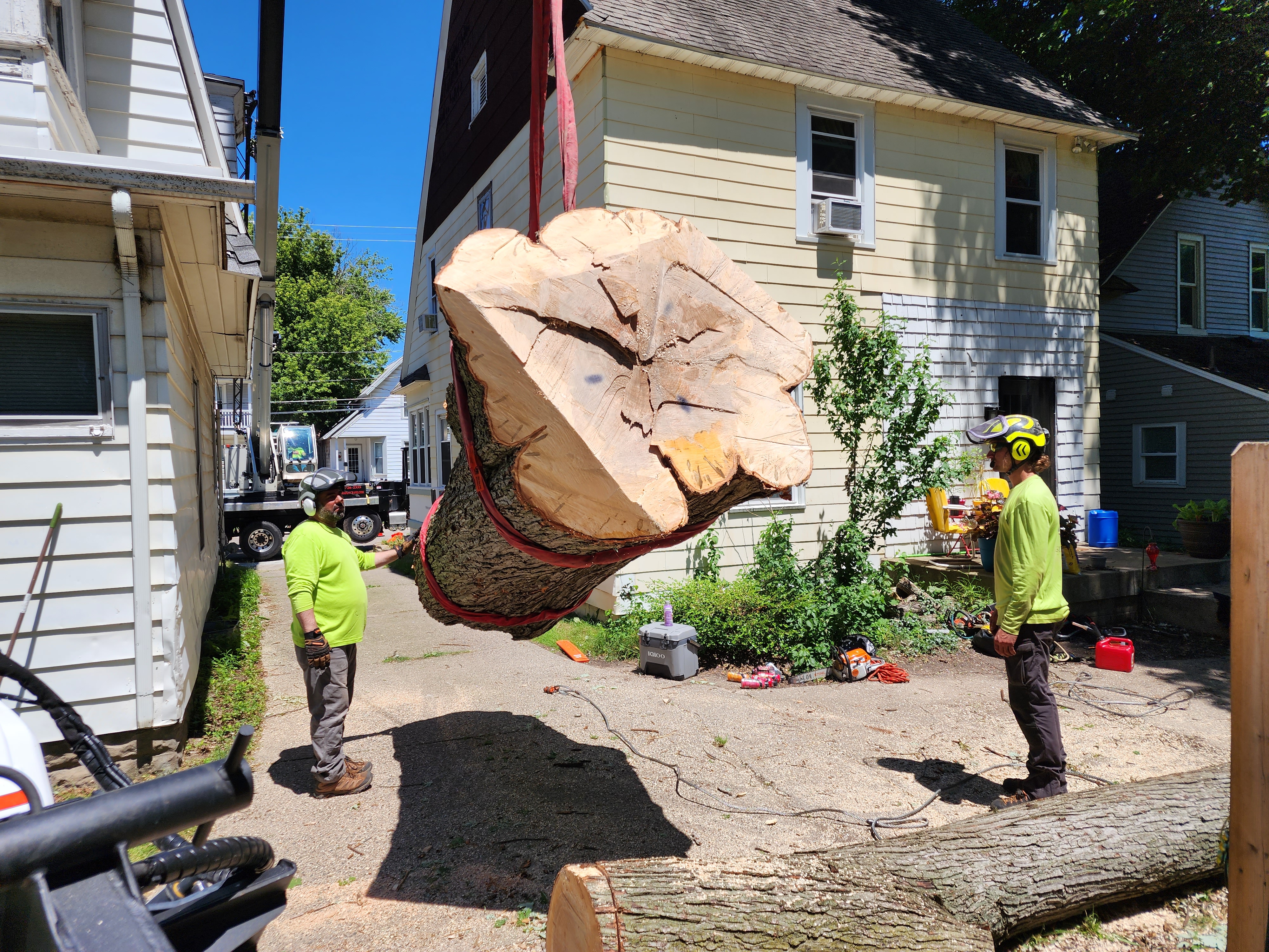 Crane lifting log section