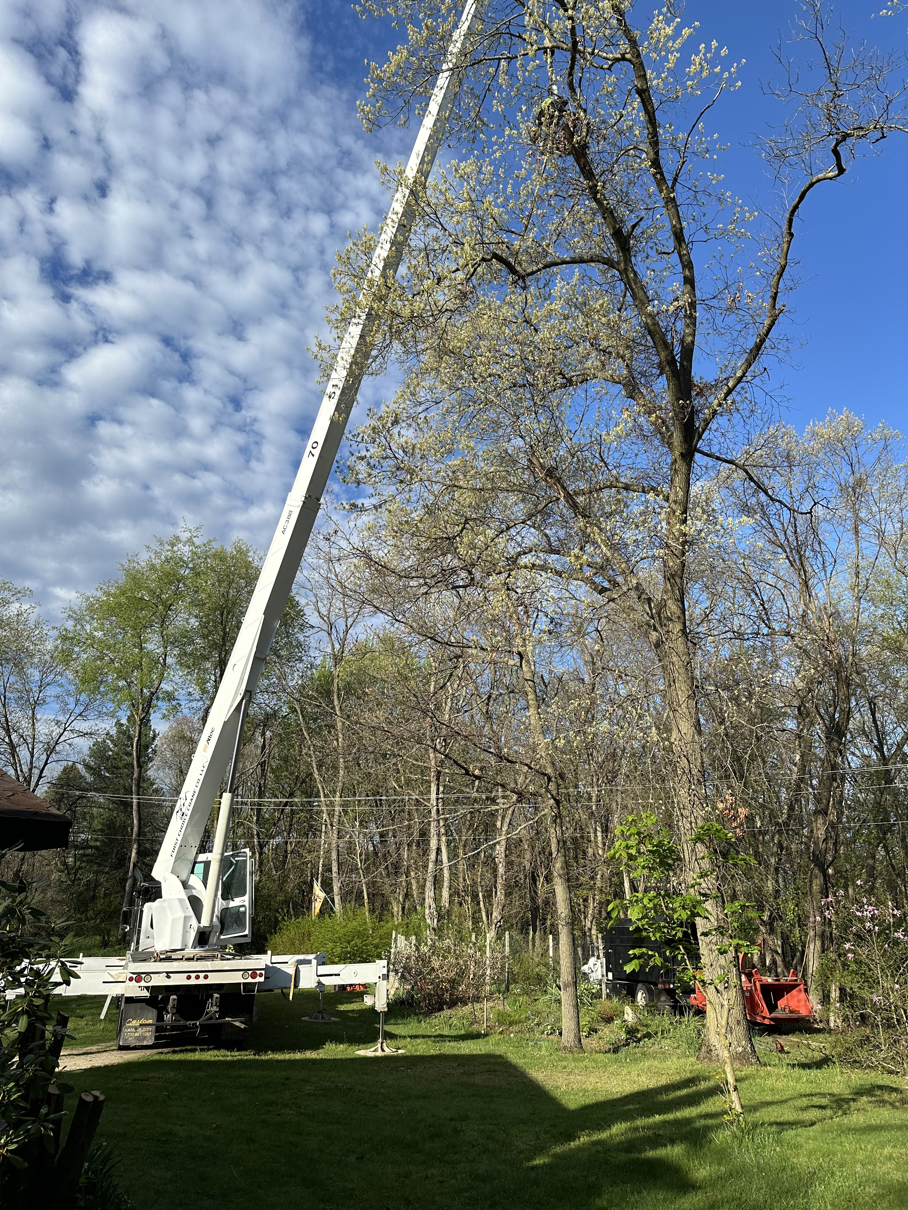 Crane rigged for residential removal