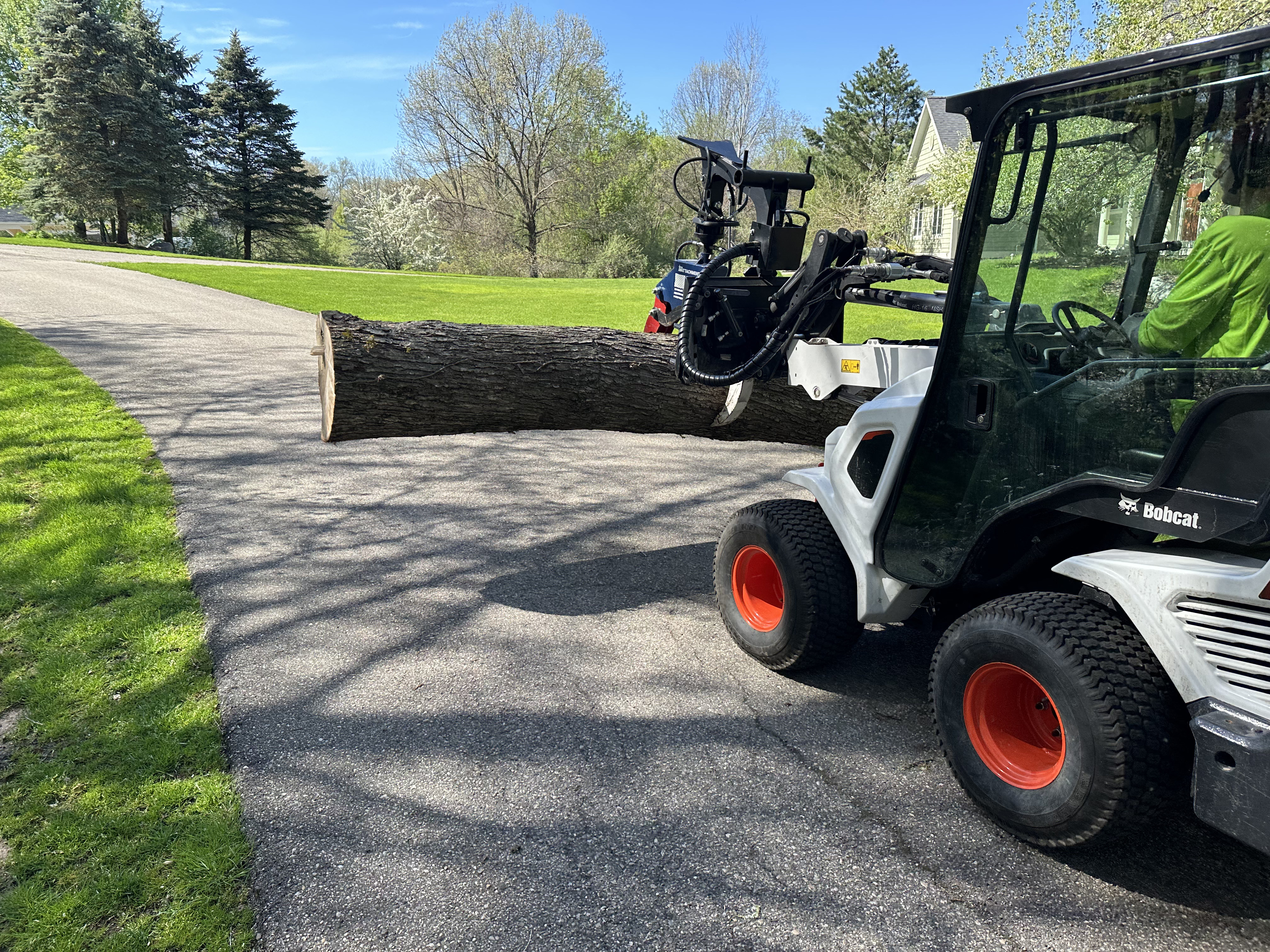Tree removal job in progress