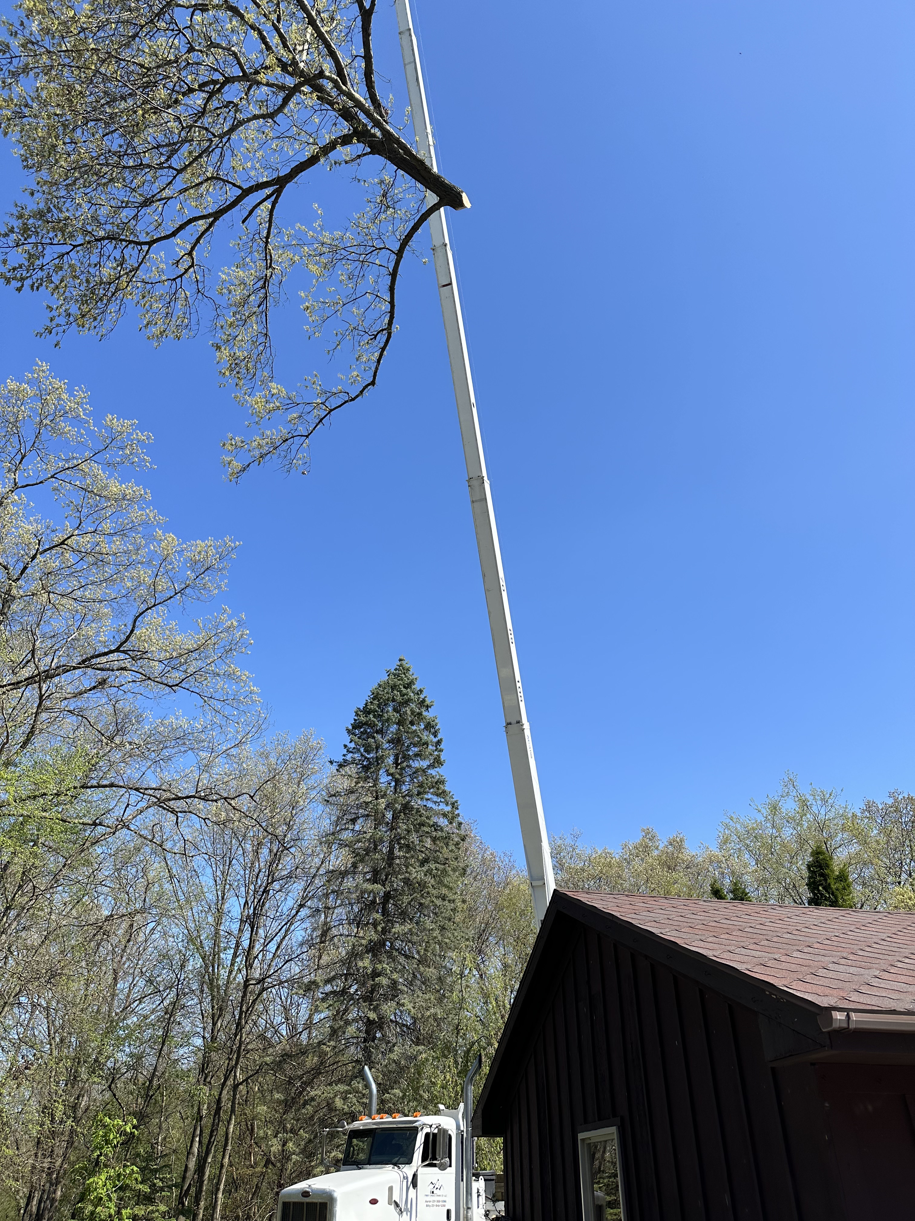Crane operations for tree removal