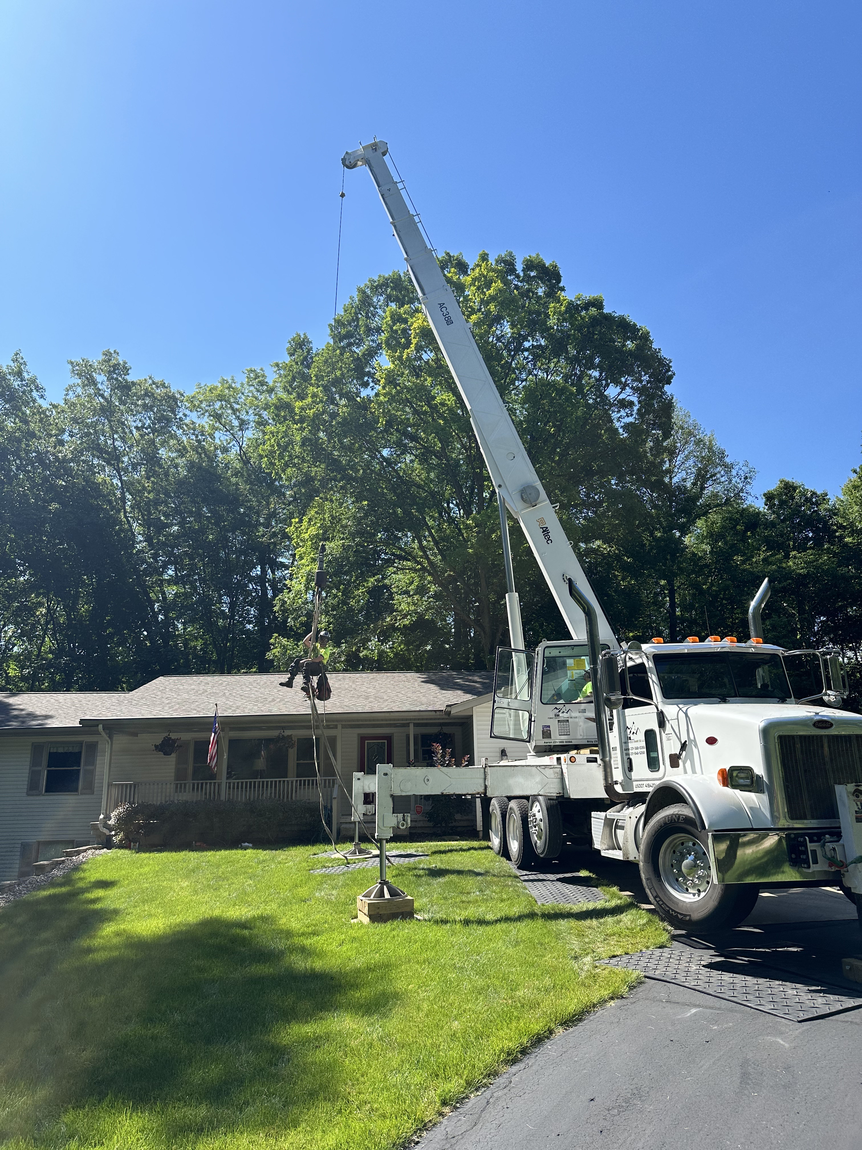 ISA certified arborist at work