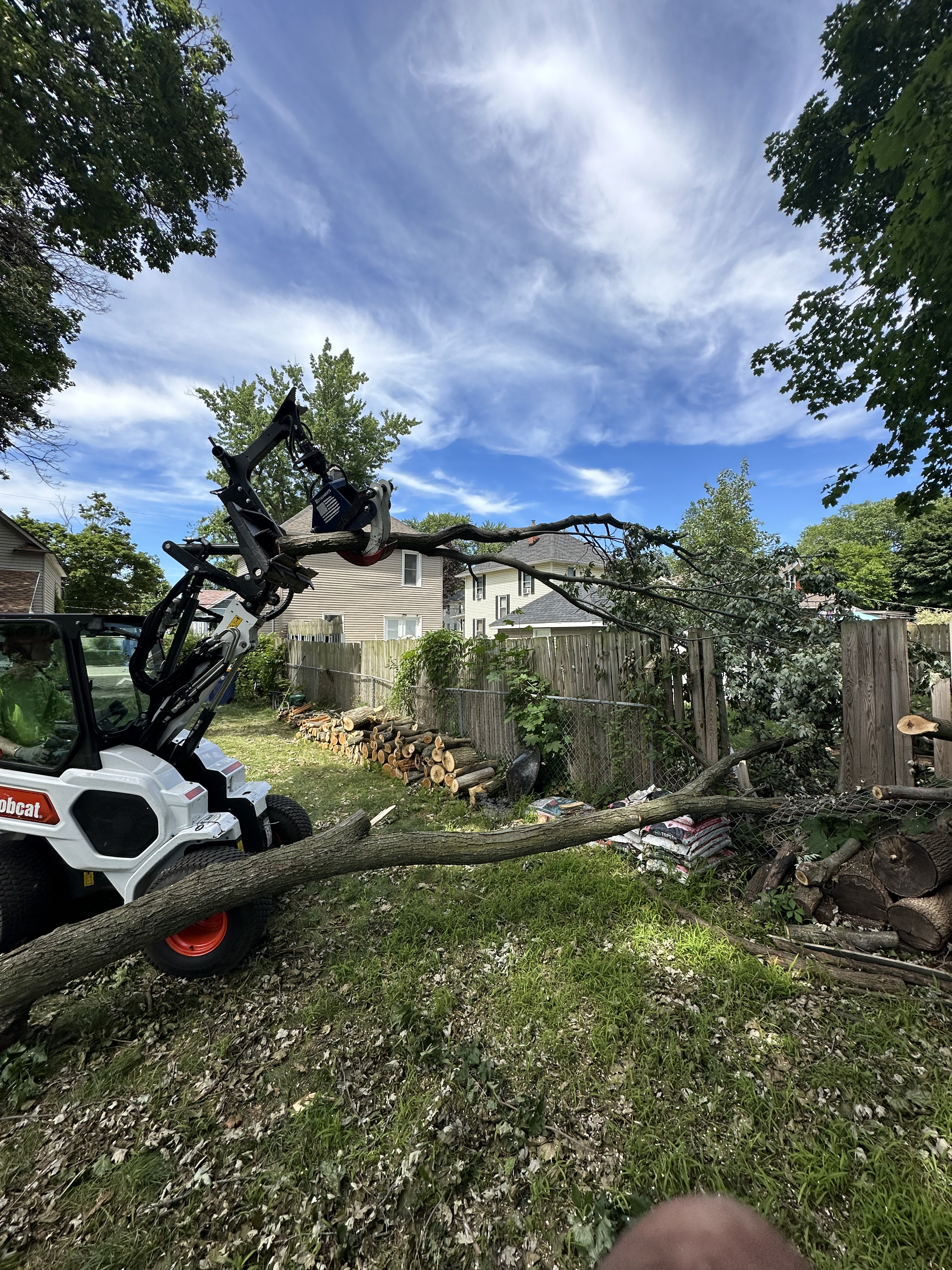 Canopy pruning and work